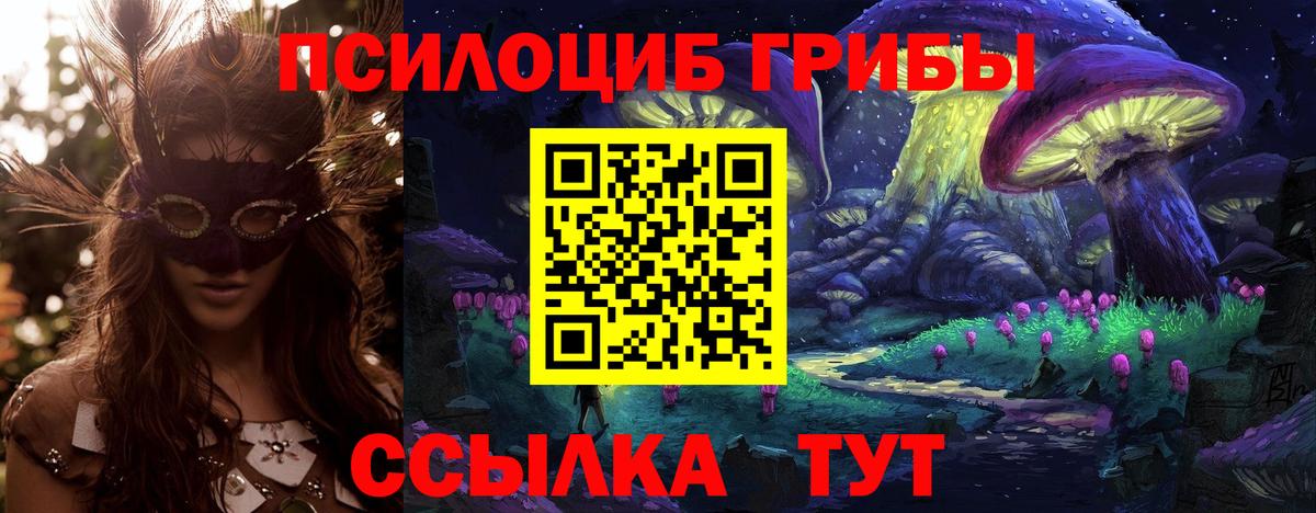 Псилоцибиновые грибы Magic Shrooms  Псилоцибиновые грибы мицелий  Вход с VPN  Славянск-на-Кубани 